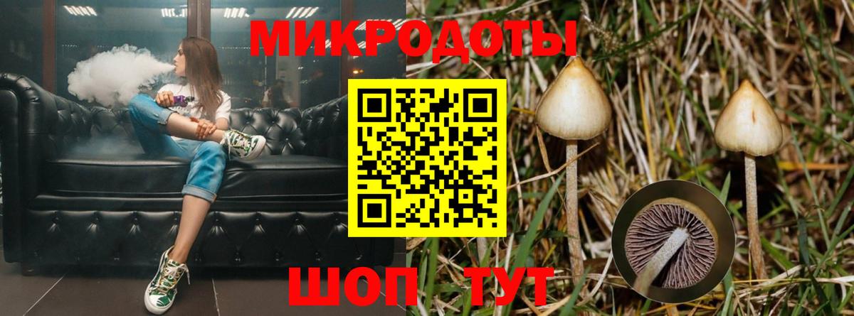 Псилоцибиновые грибы Magic Shrooms Ирбит